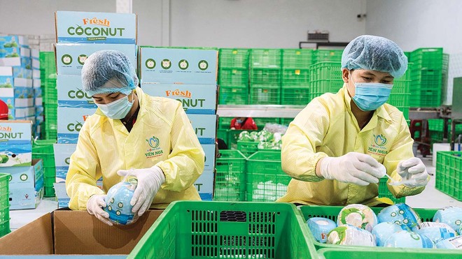 Xuất khẩu nông, lâm, thủy sản được đánh giá vẫn còn dư địa tăng trưởng (Ảnh: P.V) 