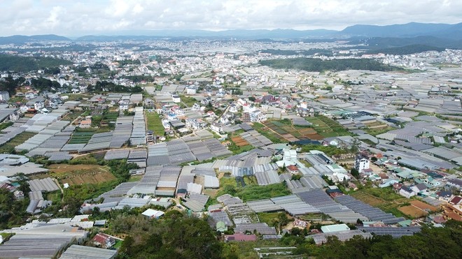 Lâm Đồng sẽ kiểm tra, rà soát toàn bộ các hồ sơ, tài liệu, bản đồ về đất đai, lâm nghiệp để tiến hành bàn giao, cập nhật vào hệ thống cơ sở dữ liệu dùng chung cho toàn tỉnh. Ảnh: Linh Đan