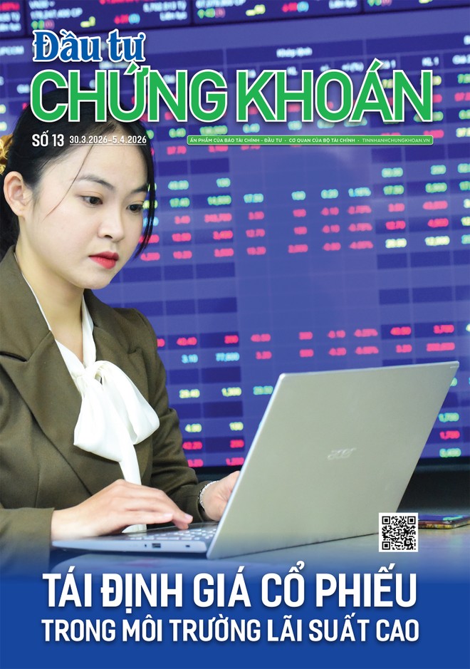  Báo Đầu tư Chứng khoán số 13
