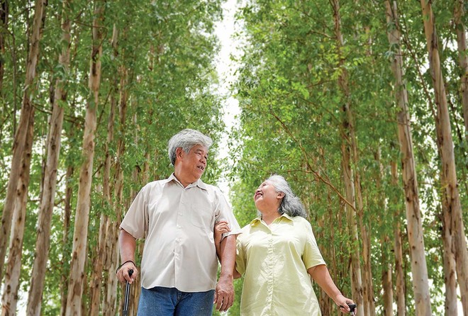 Việt Nam có đầy đủ thế mạnh để trở thành “thiên đường” nghỉ dưỡng của dòng khách hưu trí (Ảnh: P.V)