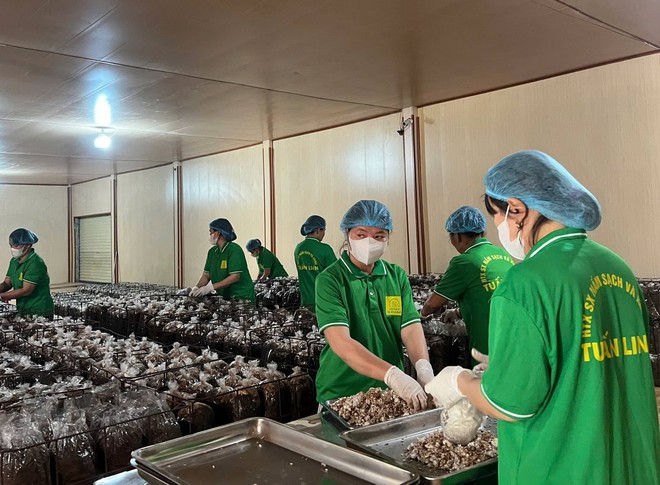 Quảng Trị hiện có nhiều chính sách hỗ trợ cho các doanh nghiệp thúc đẩy mở rộng thị trường, nâng cao năng lực cạnh tranh.