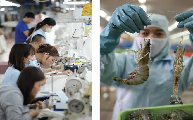 Sự phân hóa lợi nhuận trong ngành dệt may và thủy sản sẽ ngày càng rõ rệt