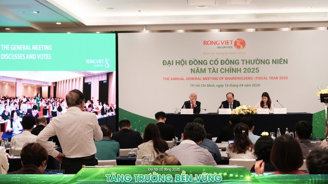 ĐHCĐ Rồng Việt (VDS): Kế hoạch lợi nhuận 510 tỷ đồng, phát hành tối đa 178 triệu cổ phiếu 