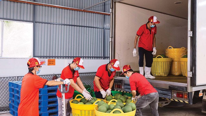 Khi áp lực lan rộng, doanh nghiệp cần giải pháp đồng bộ về chính sách và thị trường (Ảnh: P.V)