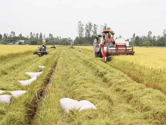 Ðồng Tháp hướng đến nền nông nghiệp sinh thái xanh bền vững 