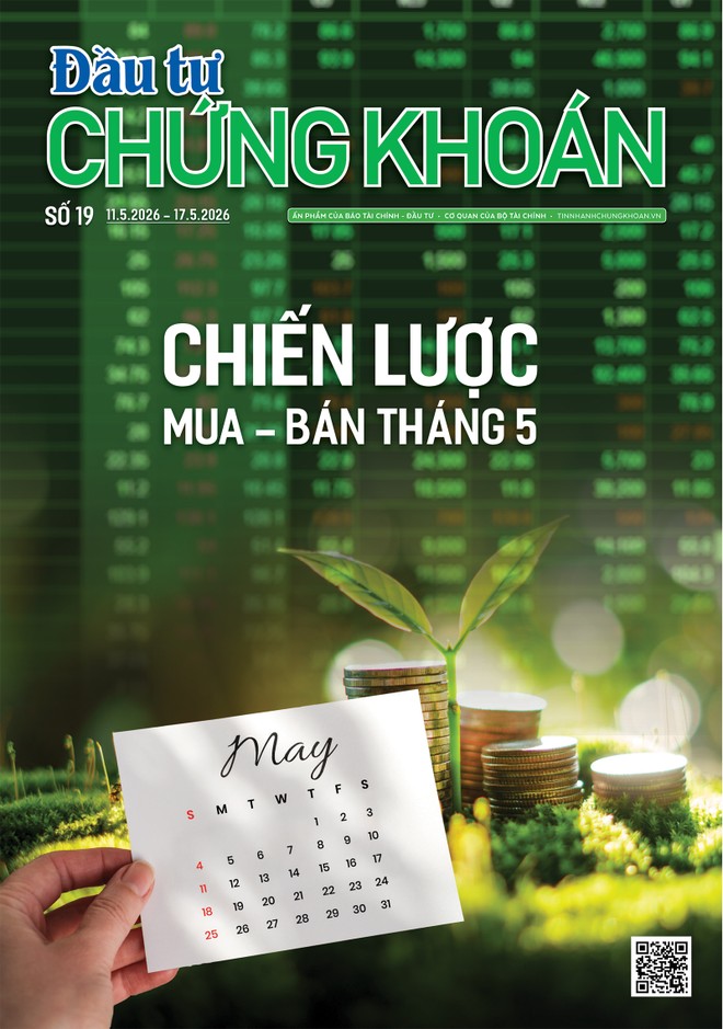 Báo Đầu tư Chứng khoán số 19