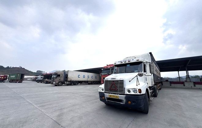Hoạt động tại kho ngoại quan.