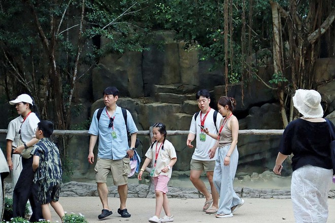 Ảnh: Du khách nước ngoài tham quan Safari Phú Quốc Ảnh: Linh Nguyễn 