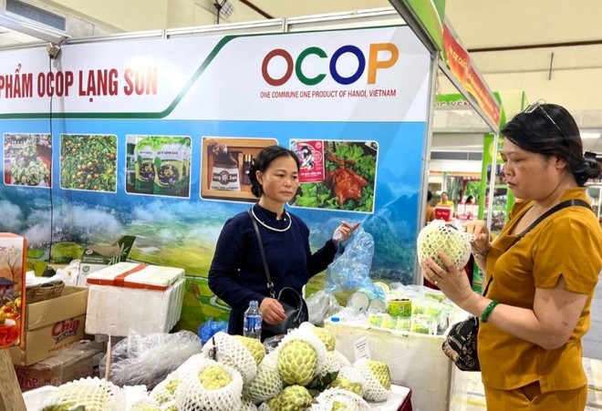 Na Lạng Sơn - sản phẩm OCOP được người tiêu dùng ưa chuộng.