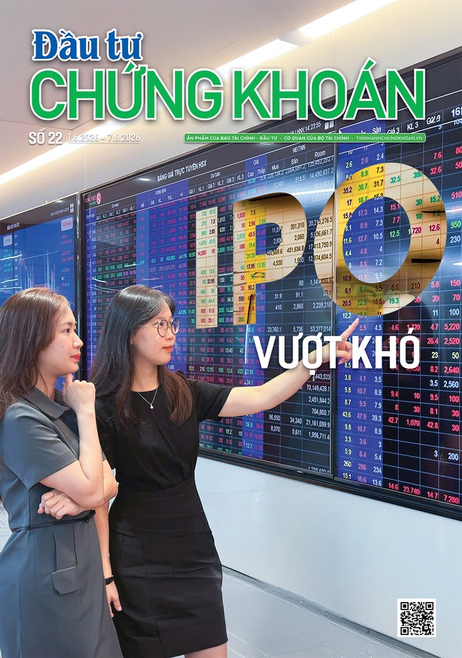 Báo Đầu tư Chứng khoán số 22