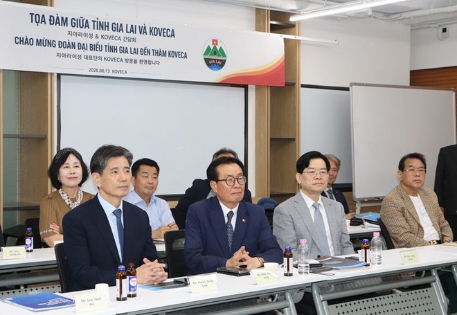 Đại diện các doanh nghiệp thuộc Hiệp hội Kinh tế - Văn hóa Hàn Việt tại buổi làm việc với tỉnh Gia Lai. Ảnh: Trang Lê.