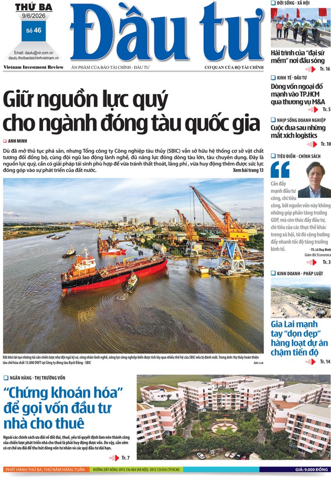 Báo Đầu tư số 46