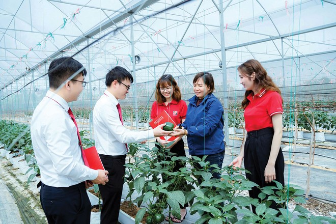 Sản xuất xanh đã trở thành con đường tất yếu của phát triển
