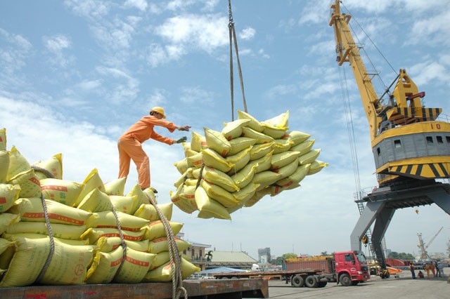 TP.HCM yêu cầu cơ quan chức năng tuyệt đối không để xảy ra tình trạng chậm trễ, ách tắc khó khăn cho doanh nghiệp xuất khẩu gạo.