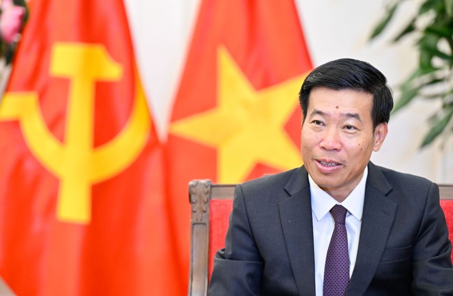 Thứ trưởng Bộ Ngoại giao Nguyễn Mạnh Cường.