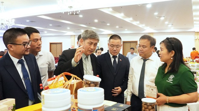 Quảng Trị đang tăng cường hợp tác với các địa phương Nhật Bản trên nhiều lĩnh vực. Ảnh: Trường Nhật