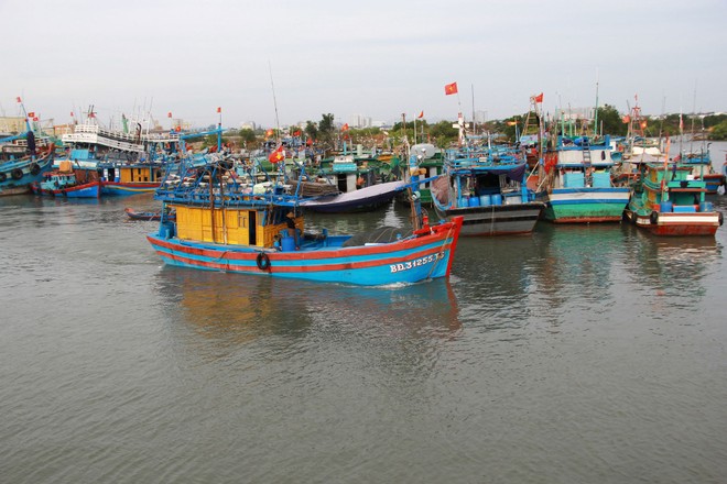 Lực lượng chức năng TP.HCM sẽ xử lý nghiêm khắc các hành vi sai phạm quy định đối với tàu cá
