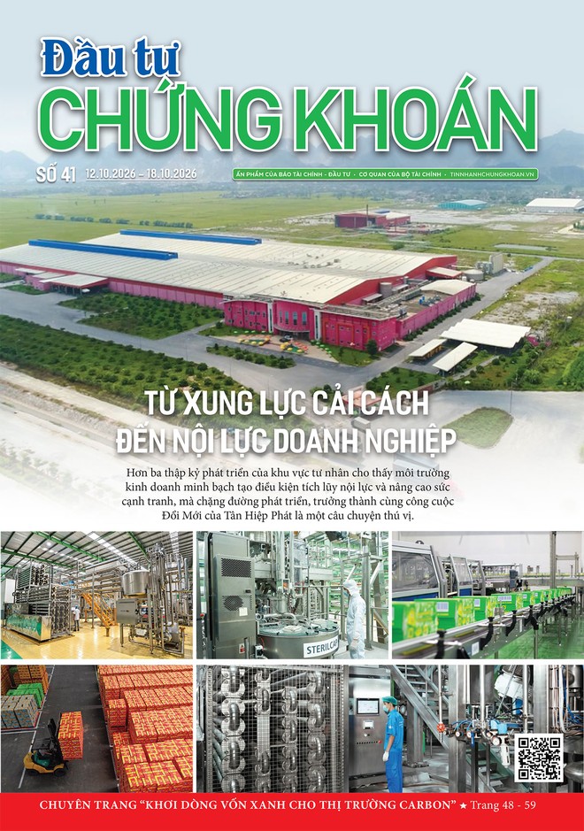 Báo Đầu tư Chứng khoán số 41