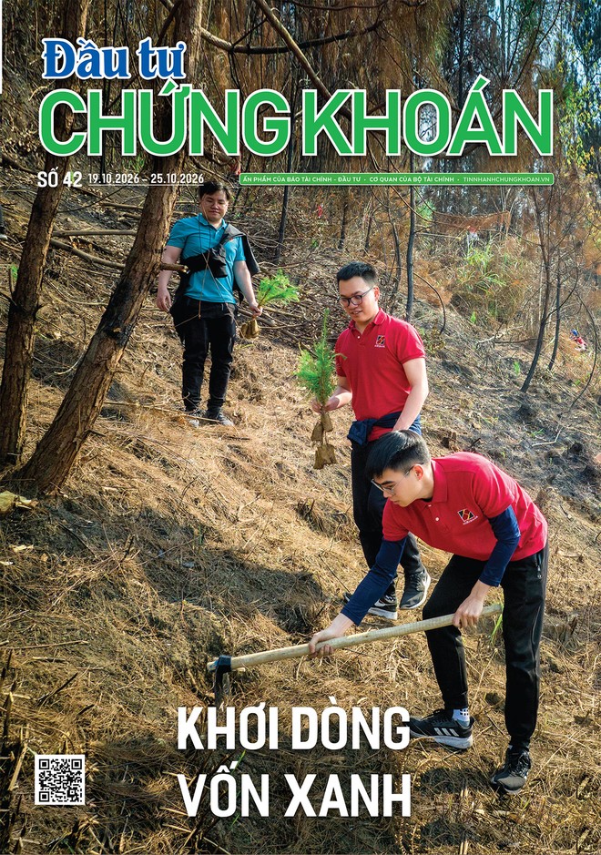 Báo Đầu tư Chứng khoán số 42