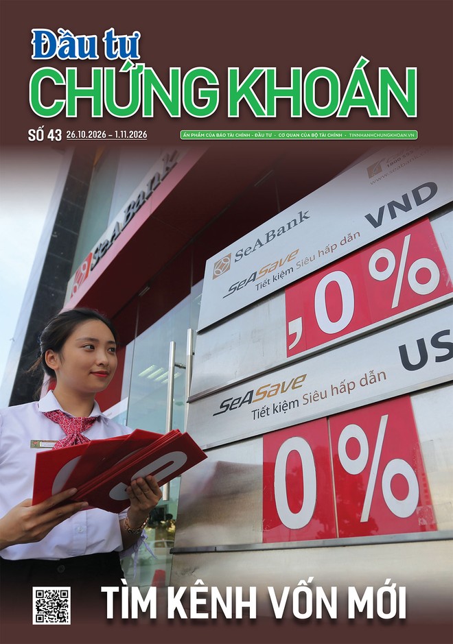 Báo Đầu tư Chứng khoán số 43