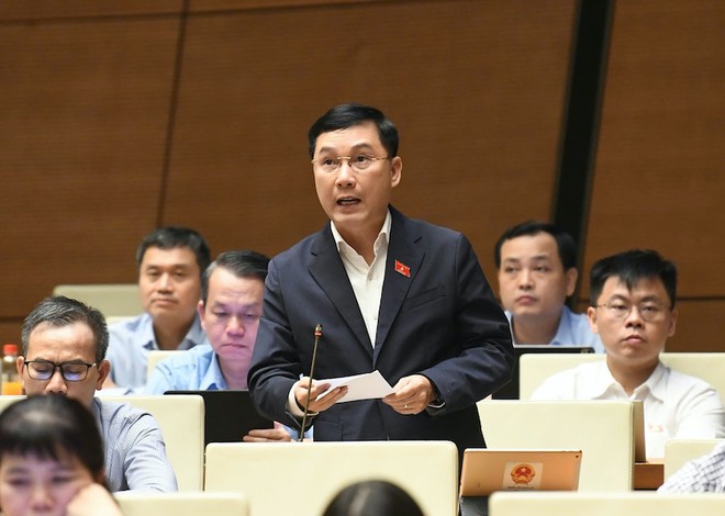 Đại biểu Lê Hoàng Anh tham gia thảo luận. Ảnh: Như Ý .
