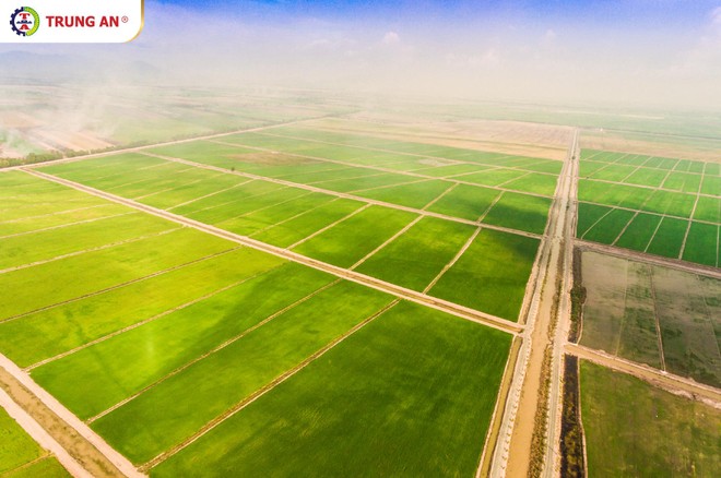 Vừa mua vào 10 triệu cổ phiếu, Phó chủ tịch TAR tiếp tục đăng ký mua thêm 5 triệu cổ phiếu