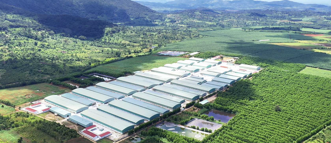 Hoàng Anh Gia Lai (HAG) đã tất toán toàn bộ khoản nợ trái phiếu