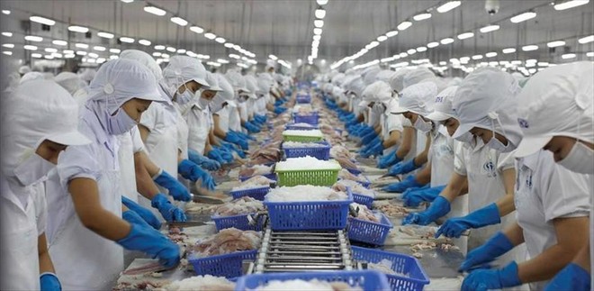 Cổ phiếu cần quan tâm ngày 22/9