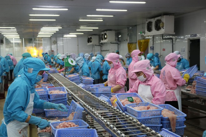 Xuất khẩu thuỷ sản sang Mỹ giảm 15% trong tháng 4, nhưng có thể bật tăng 10 - 15% trong 2 tháng tới