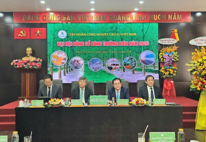 ĐHĐCĐ Tập đoàn Cao su (GVR): 6 tháng ước lãi trước thuế 2.500 tỷ đồng, muốn mở rộng thêm 70.000 ha cao su sang Lào và Campuchia 