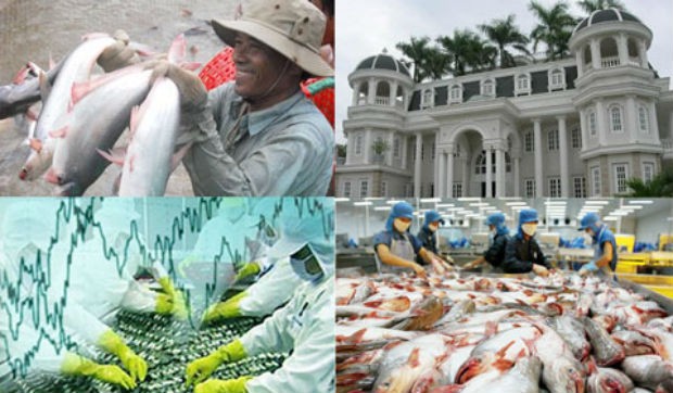 Cá da trơn Việt Nam xuất khẩu vào Mỹ sẽ phải đáp ứng tiêu chuẩn tương đồng với các nông trại Mỹ