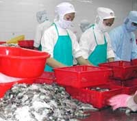 Chế biến thuỷ sản xuất khẩu
