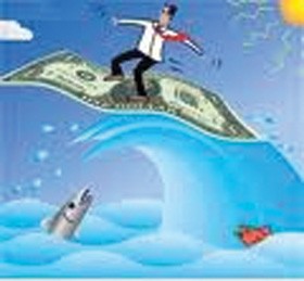 Chứng chỉ lướt sóng…