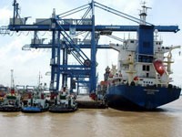 Bốc xếp hàng contaner tại cảng Cát Lái