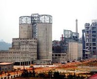 Không bồi thường mua bán CP Xi măng Hạ Long