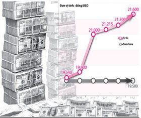 Trong khi giá USD tự do tăng tốc thì giá USD ngân hàng niêm yết lại đứng yên