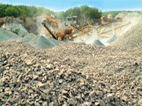 BMJ tạm ứng cổ tức năm 2010 bằng tiền mặt 15%