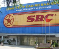 SRC có chủ tịch HĐQT mới