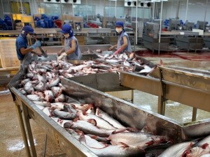 Phía Mexico muốn tăng hợp tác lĩnh vực thủy sản với Việt Nam. (Ảnh minh họa: TTXVN)