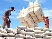 155 doanh nghiệp chưa được phép xuất khẩu gạo