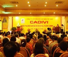 Cadivi trả cổ tức 20% bằng tiền mặt