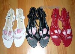 SSF, giá 3.700 đồng/CP, chia cổ tức 1.800 đồng
