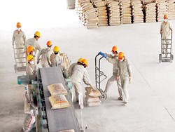 Xi măng Công Thanh trả cổ tức năm 2010 tỷ lệ 1,5%