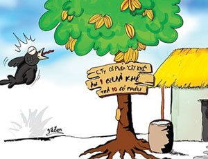 Chứng khoán về quê