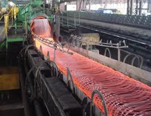 DTL dự kiến sản lượng tăng lên gần 1 triệu tấn