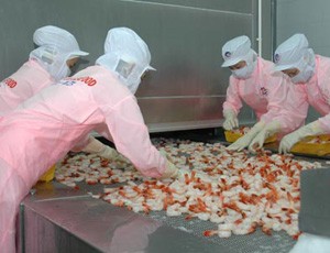 FMC: Doanh thu tháng 2 đạt 6,3 triệu USD