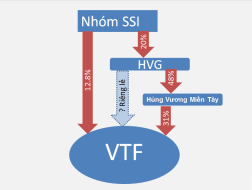 Vì sao VTF?