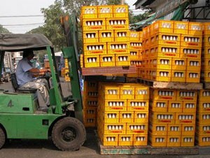 Cú “sảy chân” của Tribeco và những góc khuất