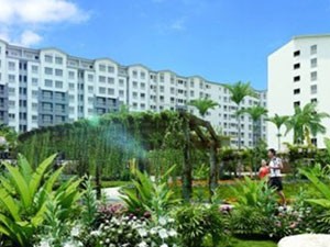Căn hộ dưới 1 tỷ đồng “hâm nóng” thị trường