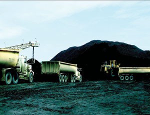 Cổ đông lớn “đánh nhau”, Bumi Resources lãnh đủ  